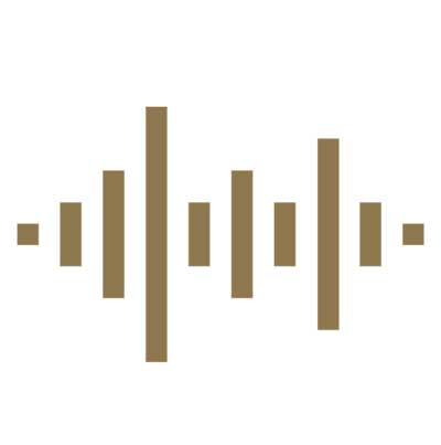 Voice Guidelines